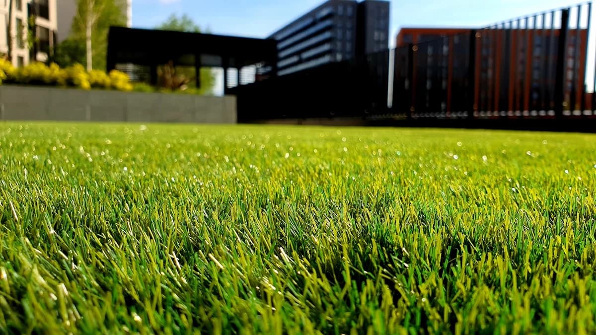 Gepflegter Garten mit Rasenpflege
